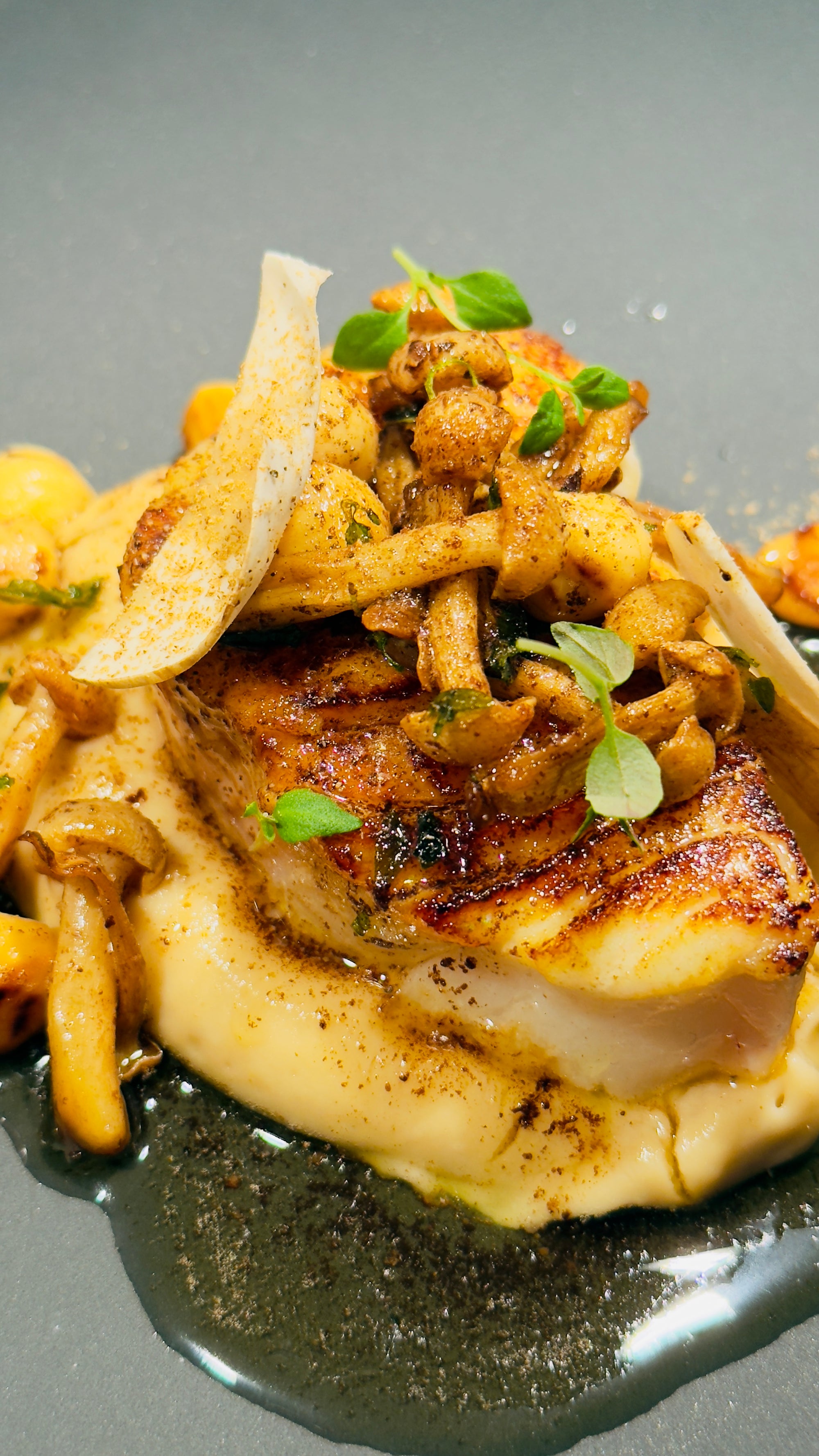 Honey Caramelized Cod with Miso Artichoke Purée and Hazelnuts